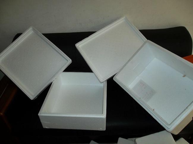 電子泡沫包裝箱